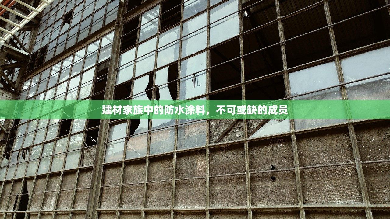余杭建材青石子厂家批发，品质与服务的双重承诺