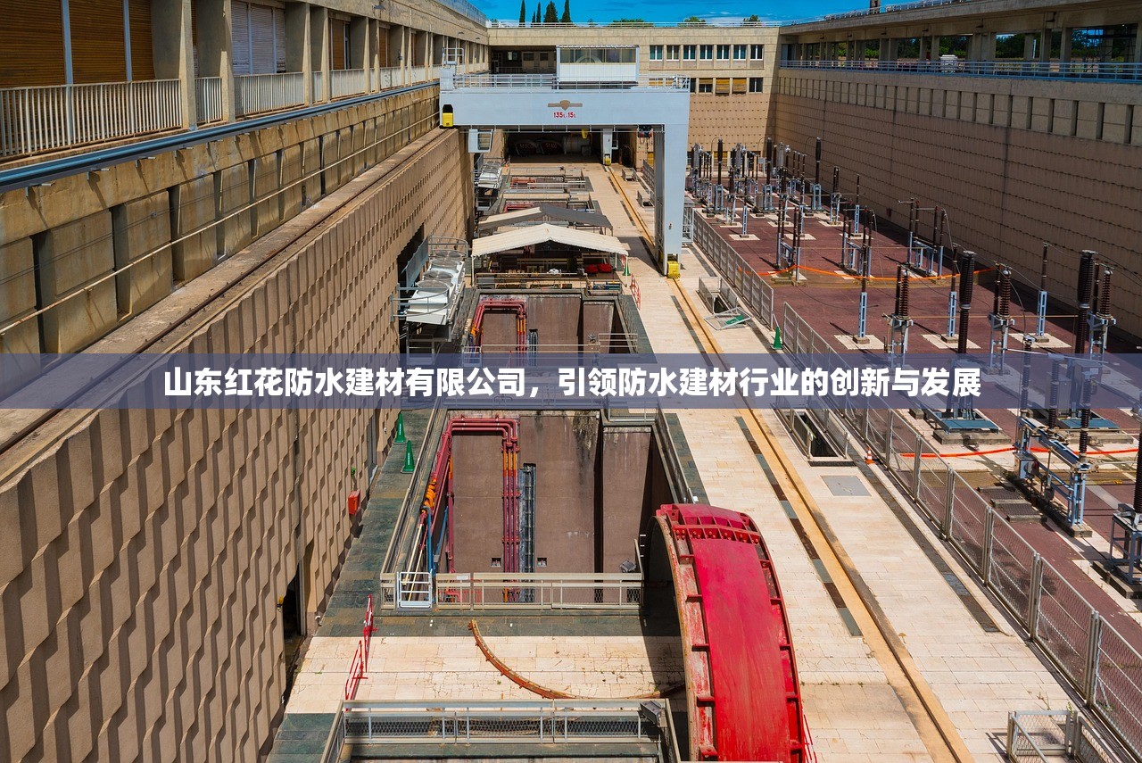 探索湾田建材防水材料区，一站式解决方案的宝藏