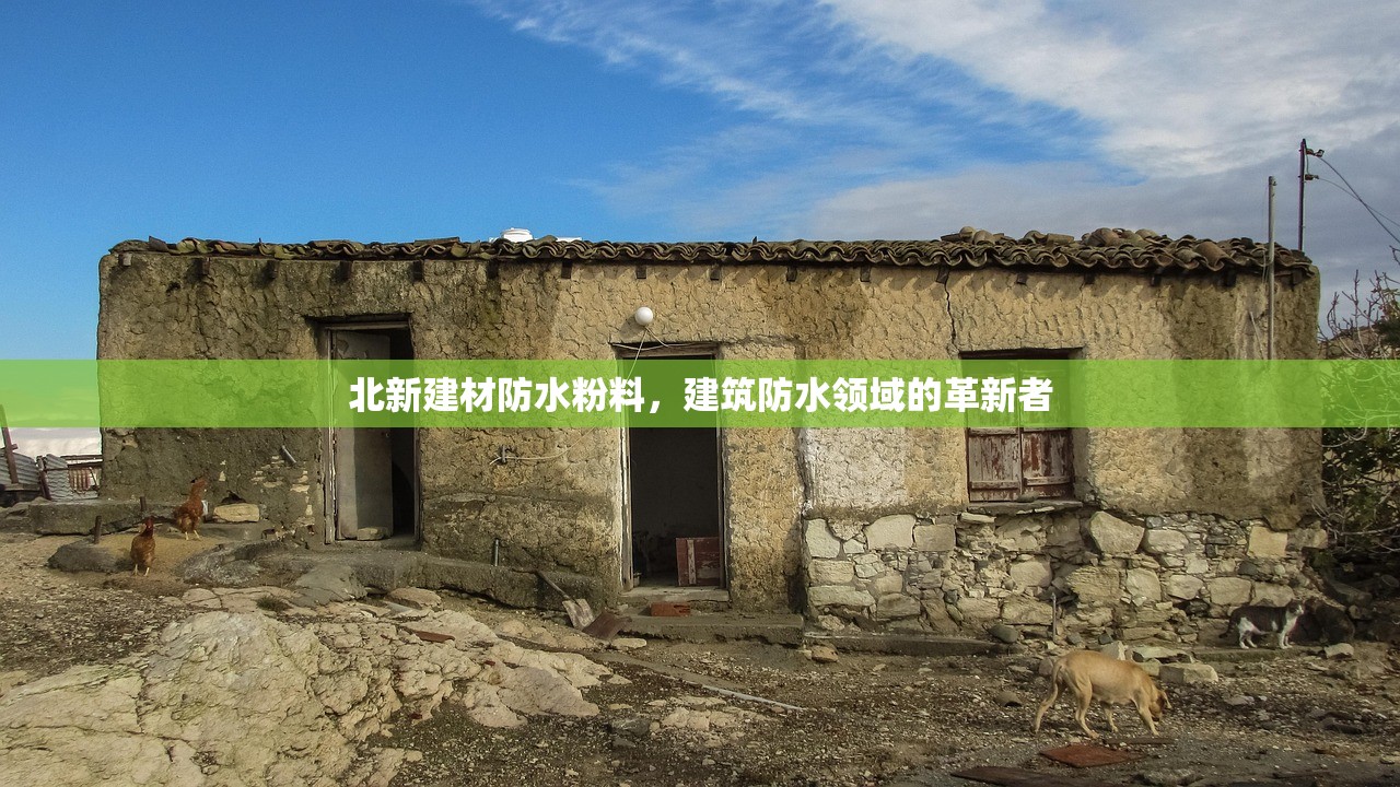 北新建材防水粉料，建筑防水领域的革新者