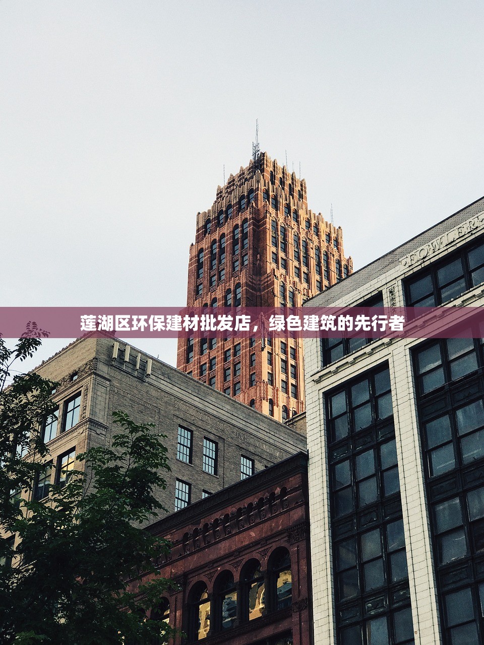 莲湖区环保建材批发店，绿色建筑的先行者