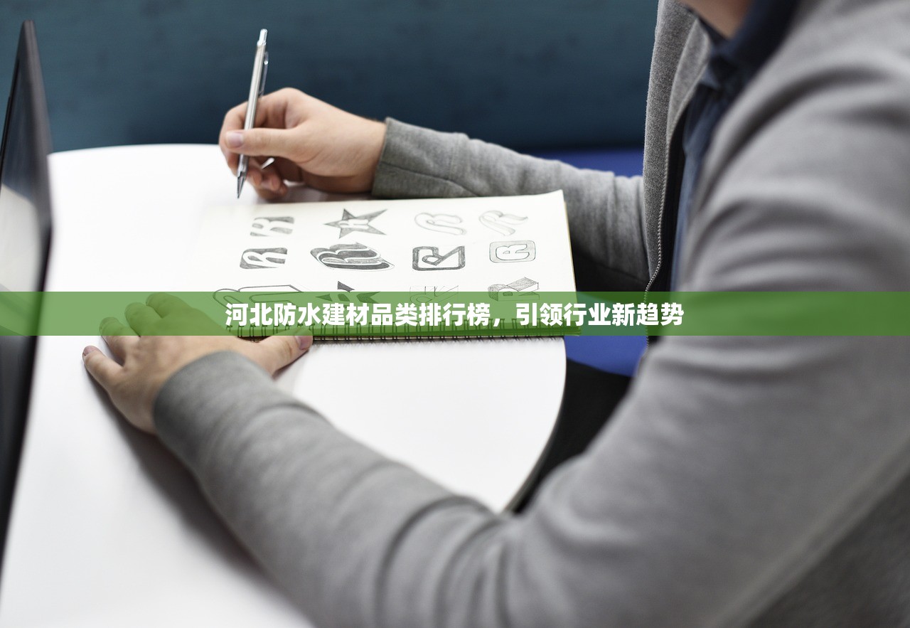 河北防水建材品类排行榜，引领行业新趋势