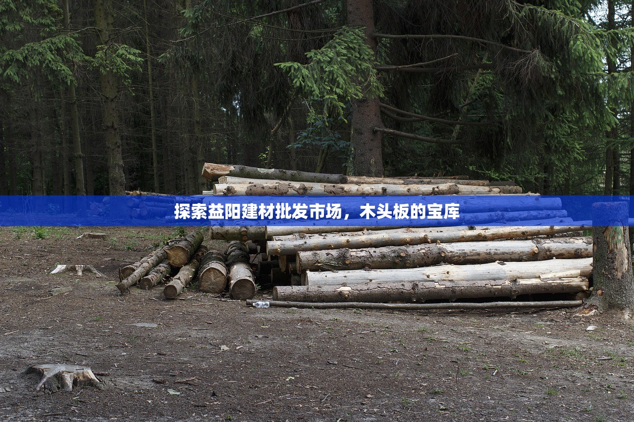 探索益阳建材批发市场，木头板的宝库