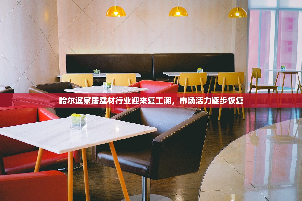 哈尔滨家居建材行业迎来复工潮，市场活力逐步恢复