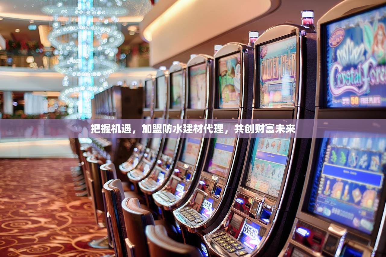 守护家园，滴水不漏—防水建材，您的安心之选