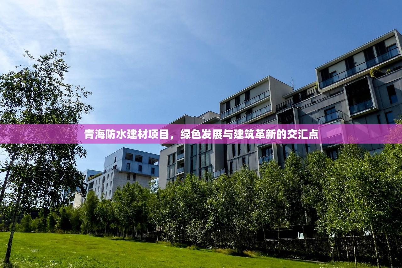 青海防水建材项目，绿色发展与建筑革新的交汇点