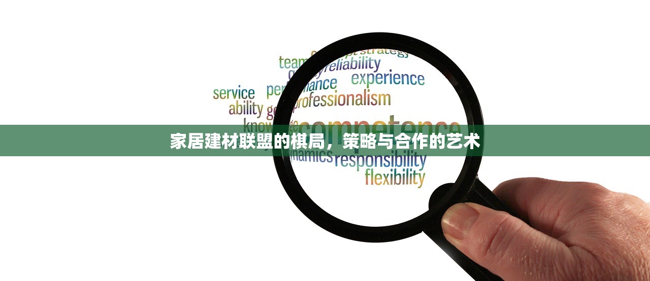 家居建材联盟的棋局，策略与合作的艺术