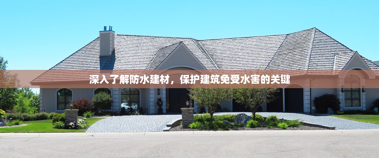 浙江防水建材粘合剂商家排名，行业领导者与创新先锋