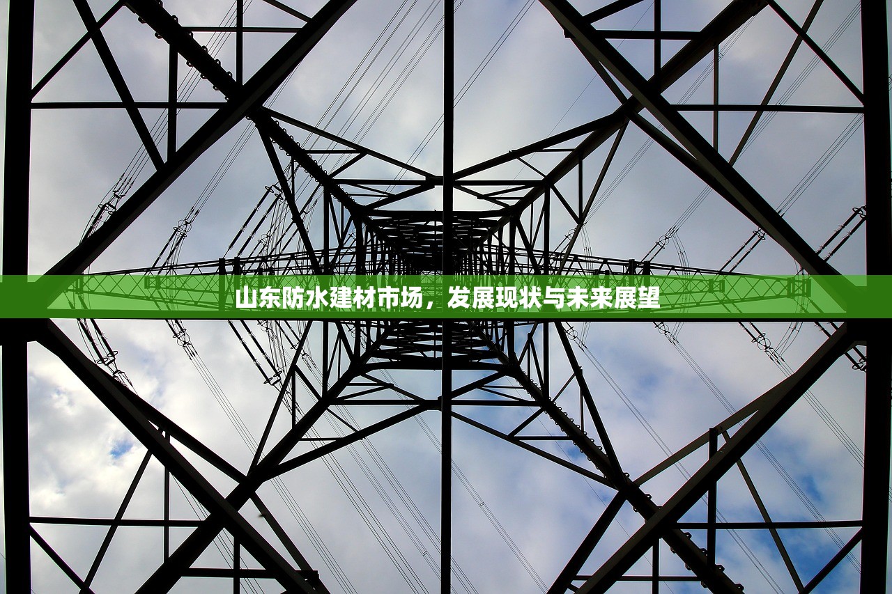 山东防水建材市场，发展现状与未来展望