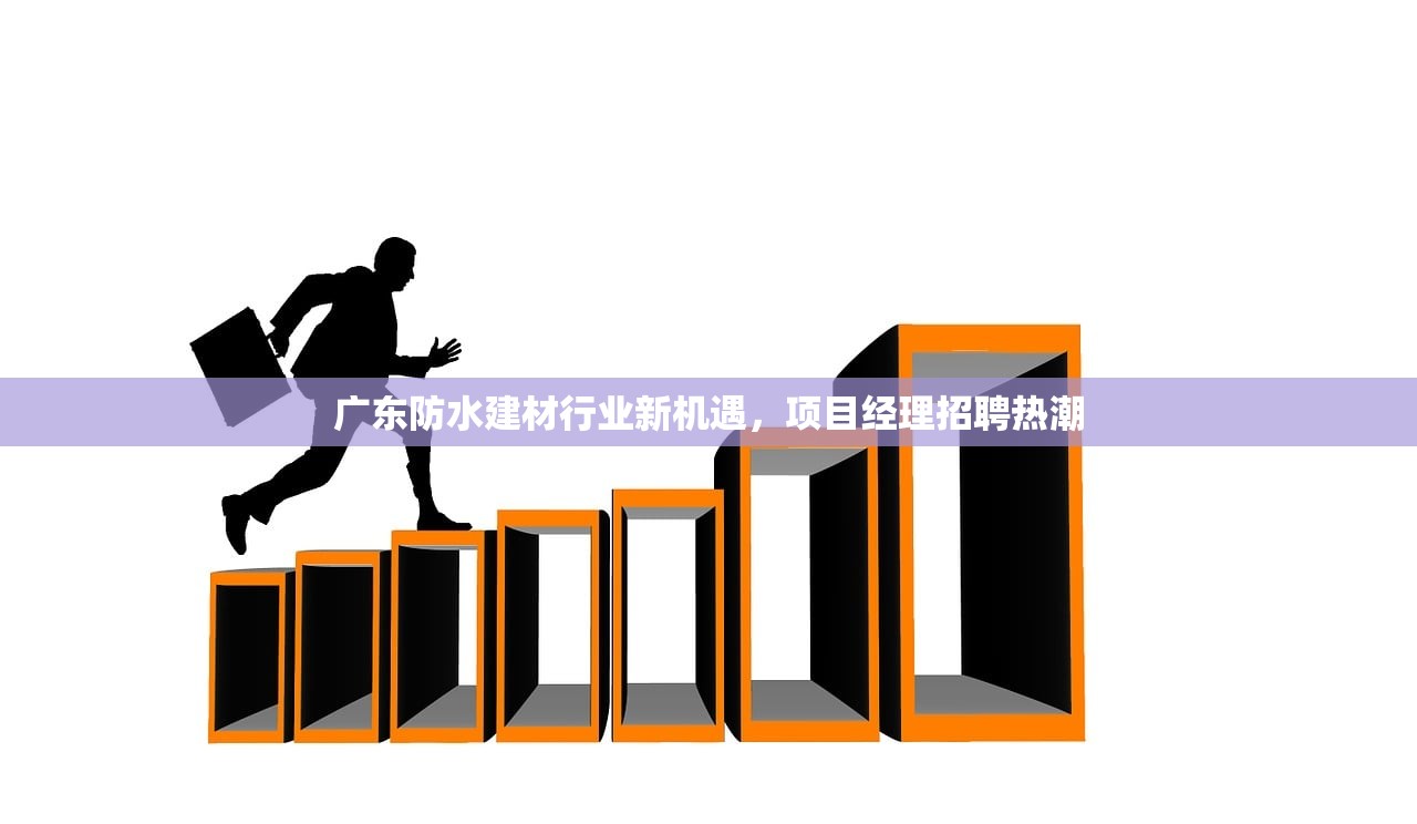 探索邯郸建材市场，木板批发的繁荣景象