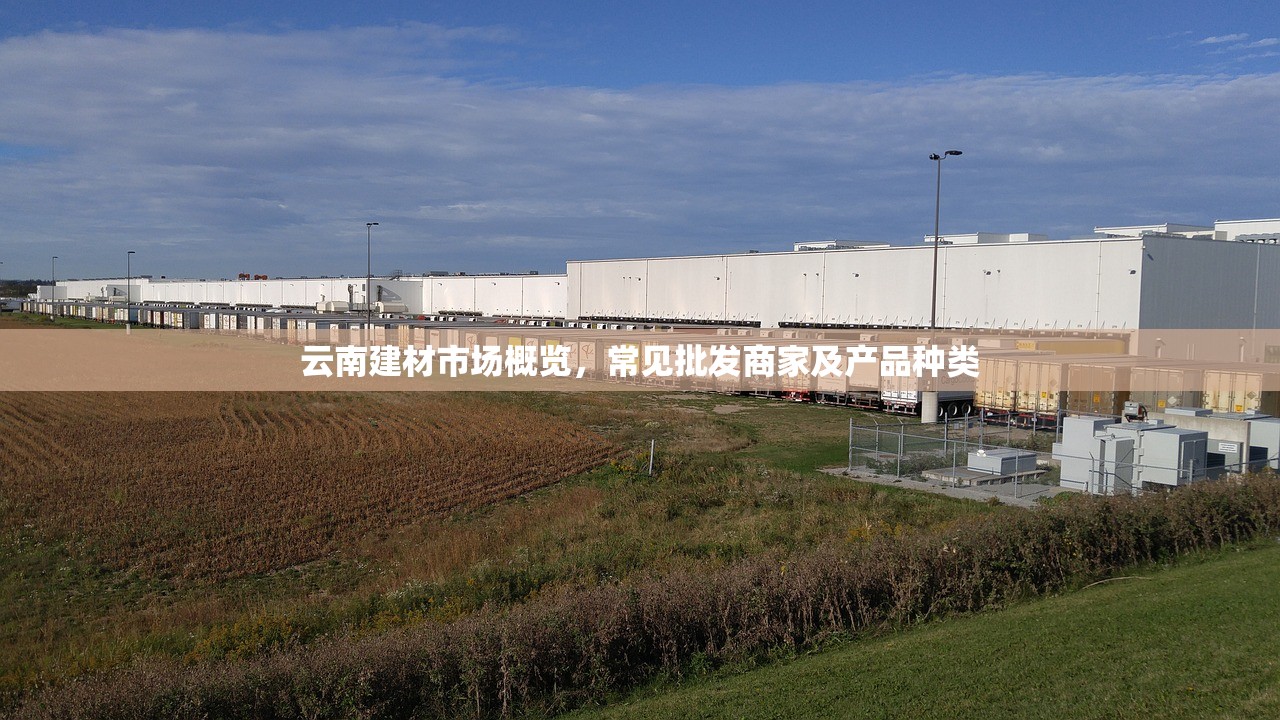 云南建材市场概览，常见批发商家及产品种类