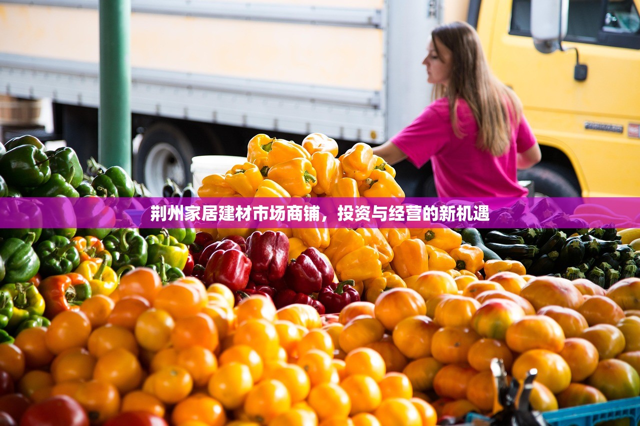 浙江木门五金建材批发，一站式服务与市场分析