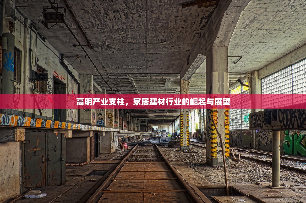 高明产业支柱，家居建材行业的崛起与展望