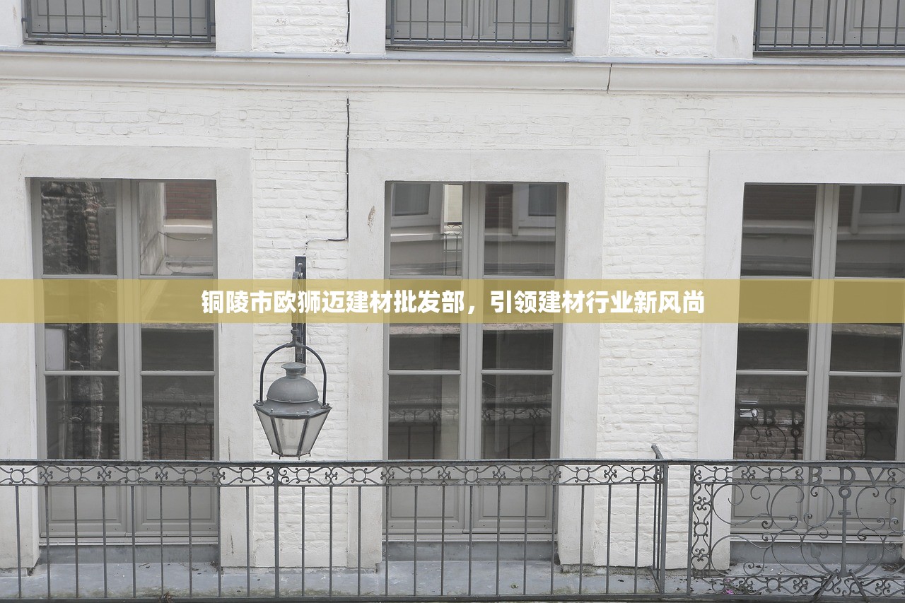 铜陵市欧狮迈建材批发部，引领建材行业新风尚