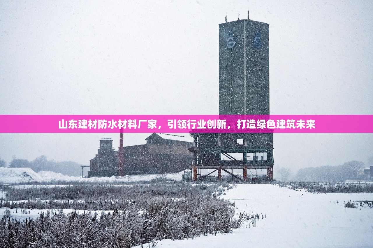 山东建材防水材料厂家，引领行业创新，打造绿色建筑未来