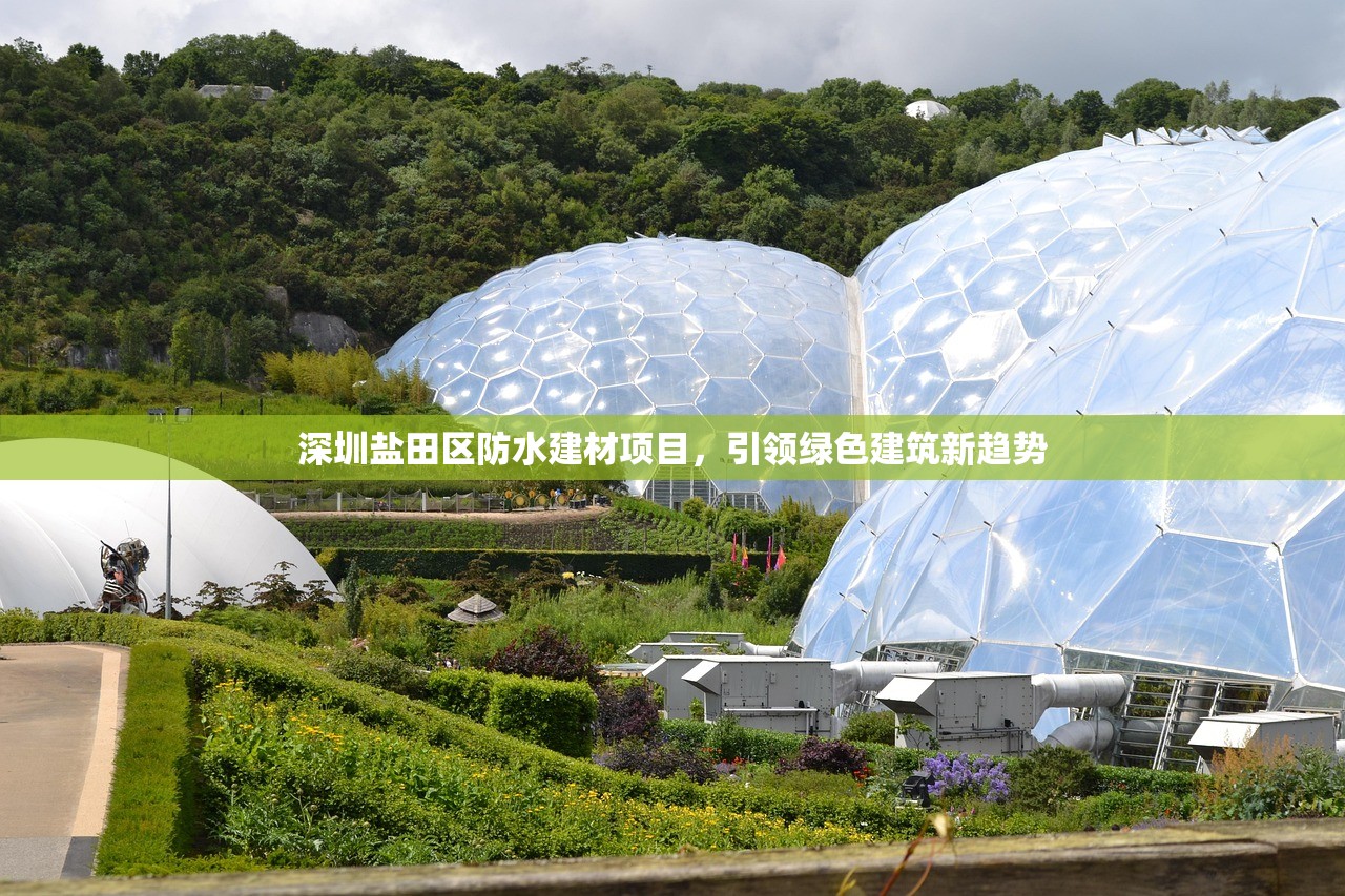 深圳盐田区防水建材项目，引领绿色建筑新趋势