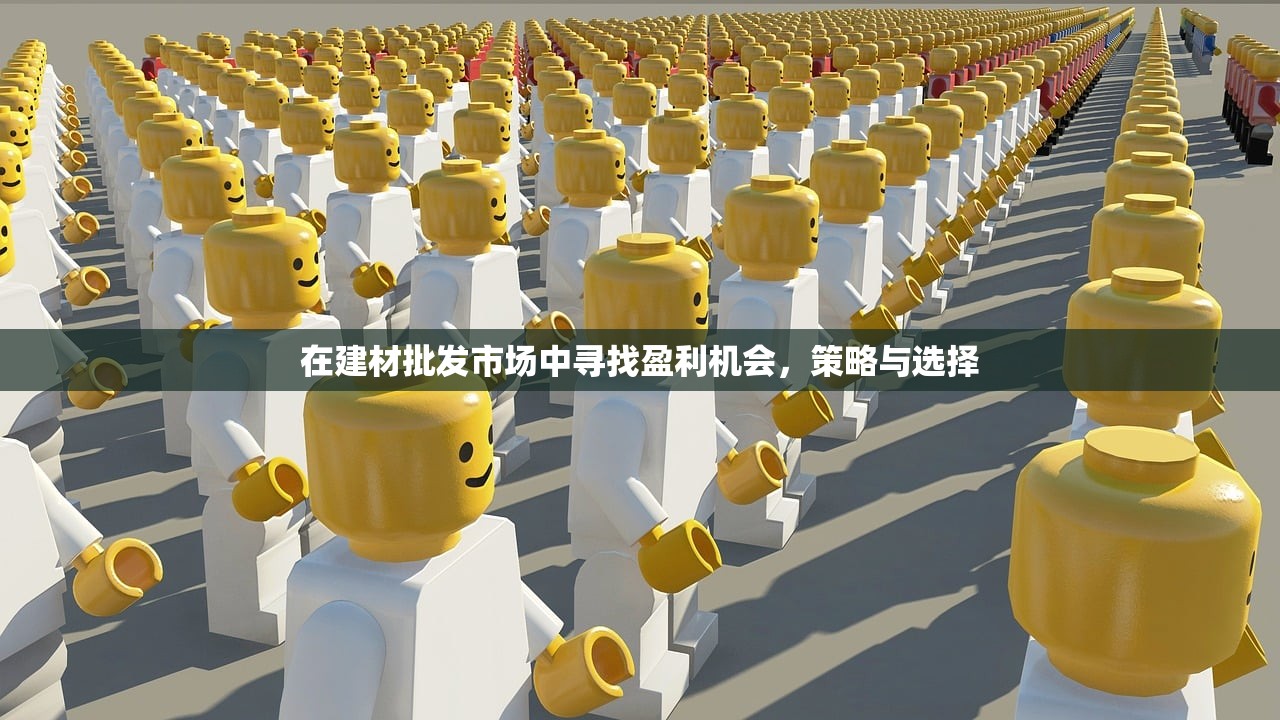 在建材批发市场中寻找盈利机会，策略与选择