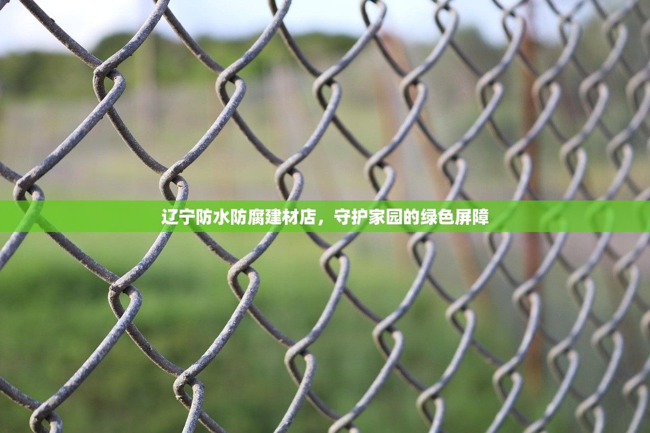 辽宁防水防腐建材店，守护家园的绿色屏障