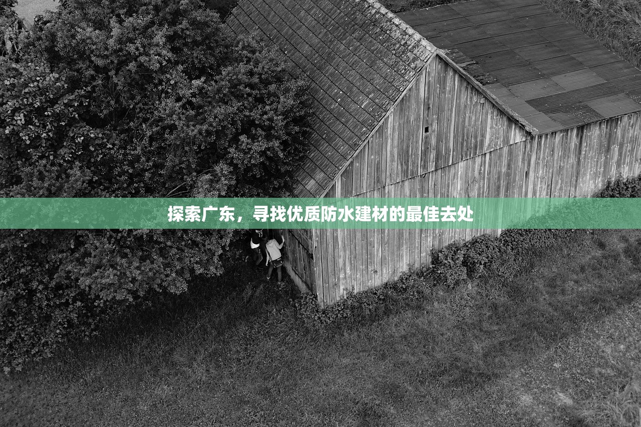 探索广东，寻找优质防水建材的最佳去处