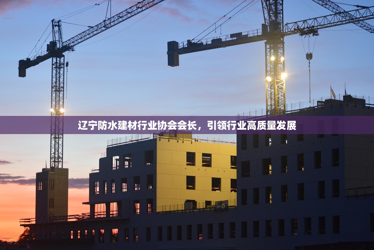 辽宁防水建材行业协会会长，引领行业高质量发展