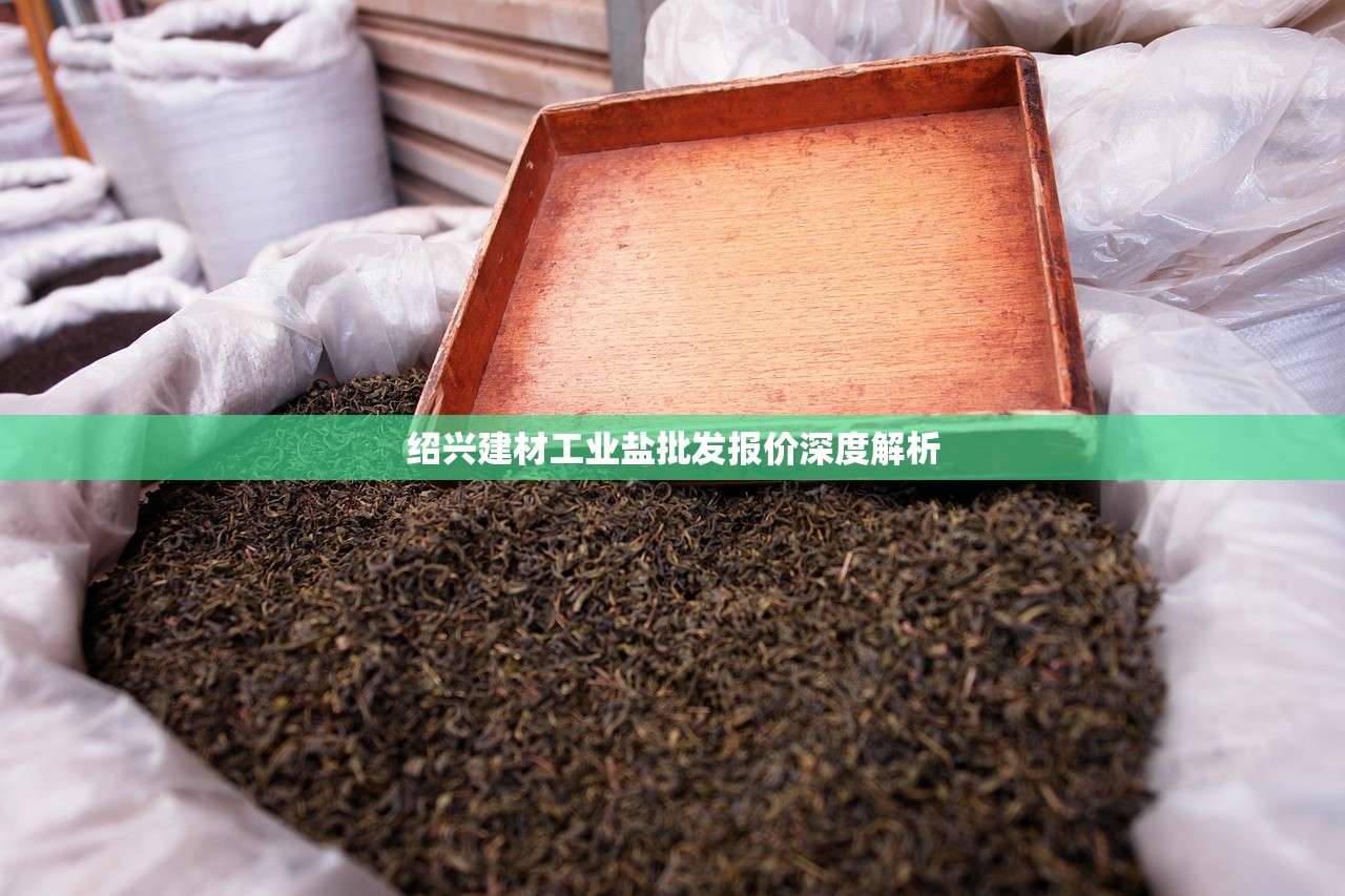 绍兴建材工业盐批发报价深度解析