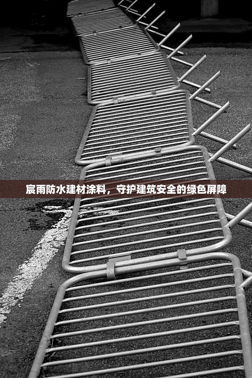 宸雨防水建材涂料，守护建筑安全的绿色屏障