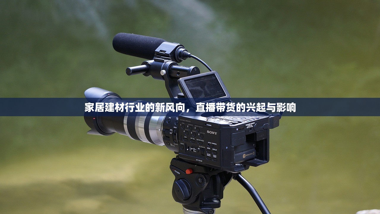 家居建材行业的新风向，直播带货的兴起与影响
