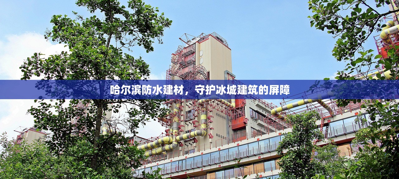 哈尔滨防水建材，守护冰城建筑的屏障