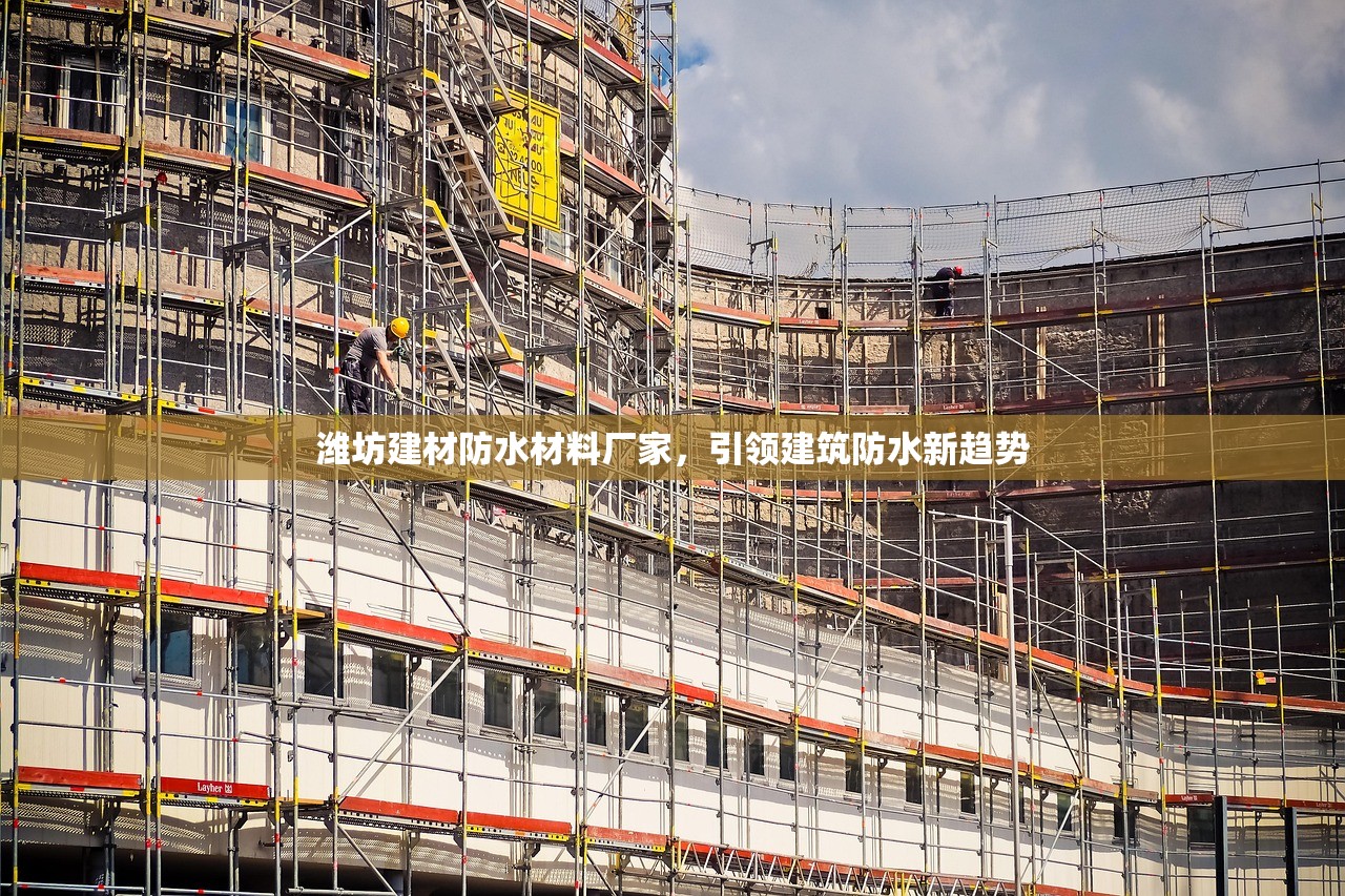 潍坊建材防水材料厂家，引领建筑防水新趋势