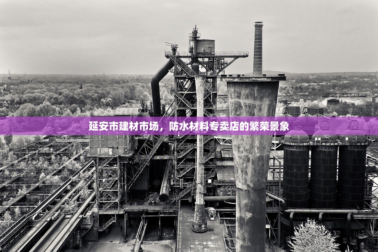 延安市建材市场，防水材料专卖店的繁荣景象