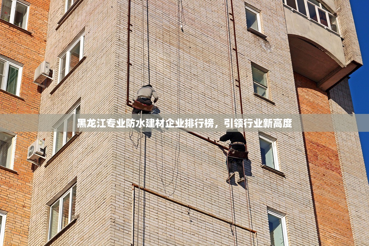 黑龙江专业防水建材企业排行榜，引领行业新高度