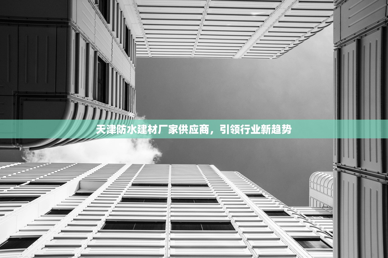 天津防水建材厂家供应商，引领行业新趋势