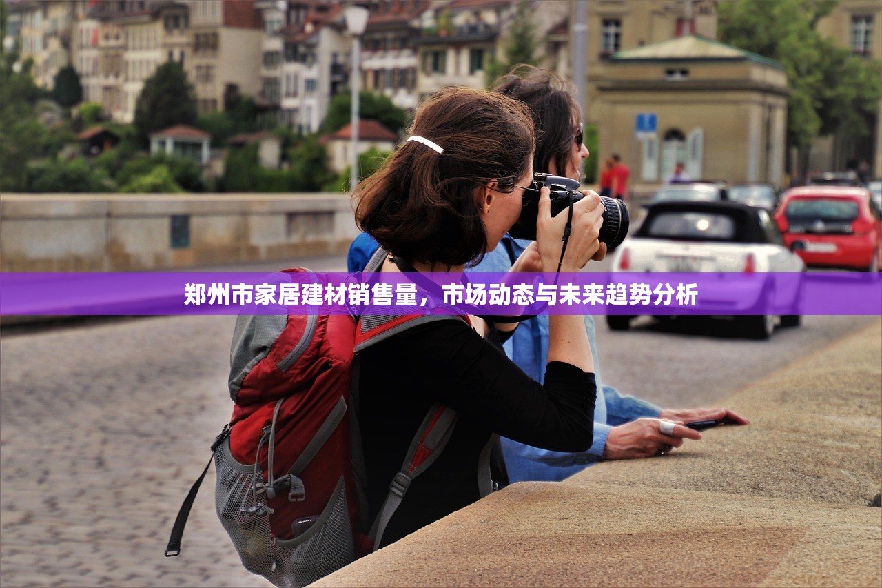 郑州市家居建材销售量，市场动态与未来趋势分析