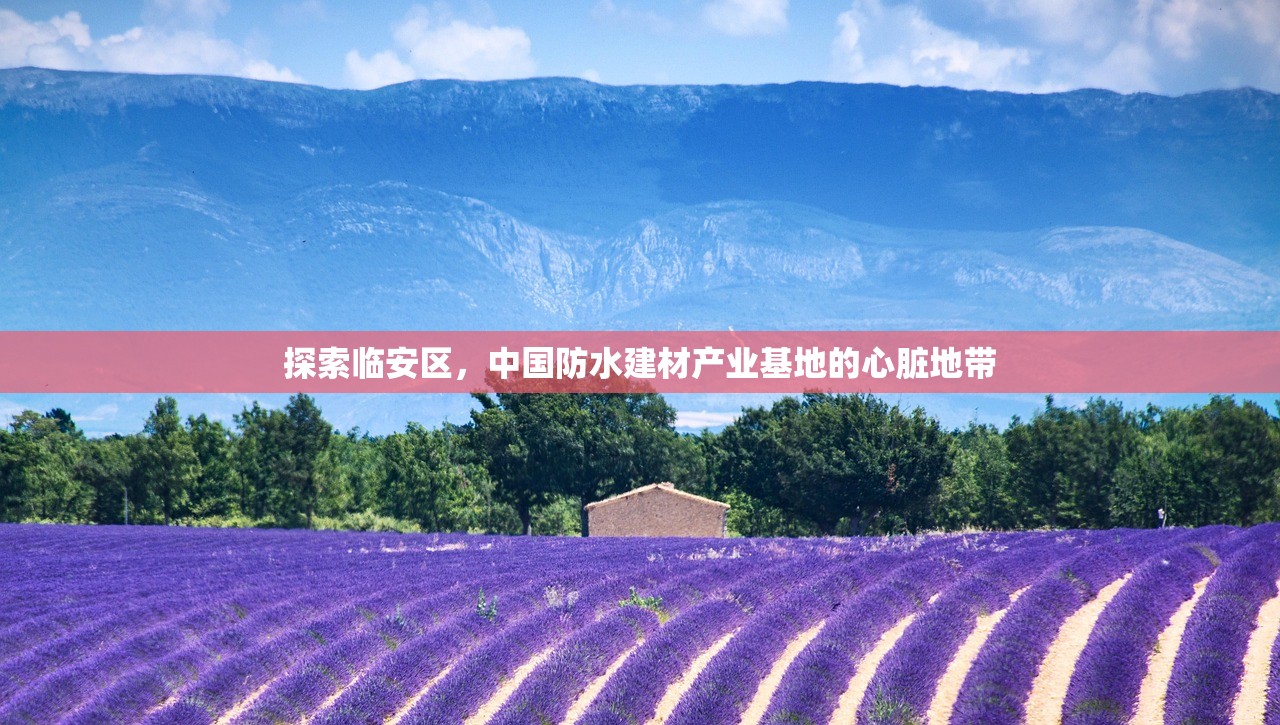探索临安区，中国防水建材产业基地的心脏地带