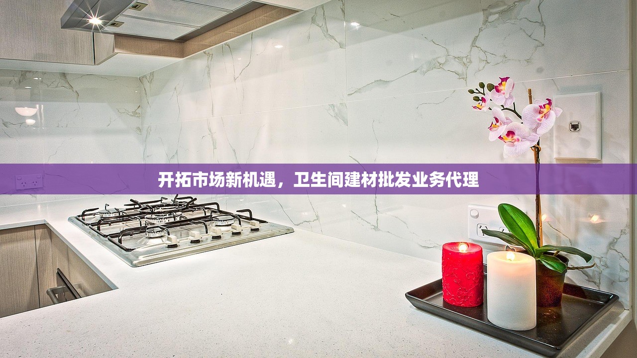 开拓市场新机遇，卫生间建材批发业务代理