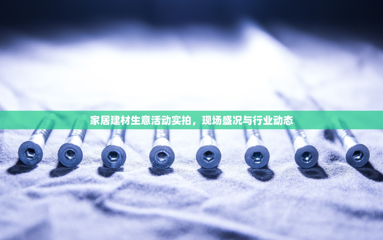 家居建材生意活动实拍，现场盛况与行业动态
