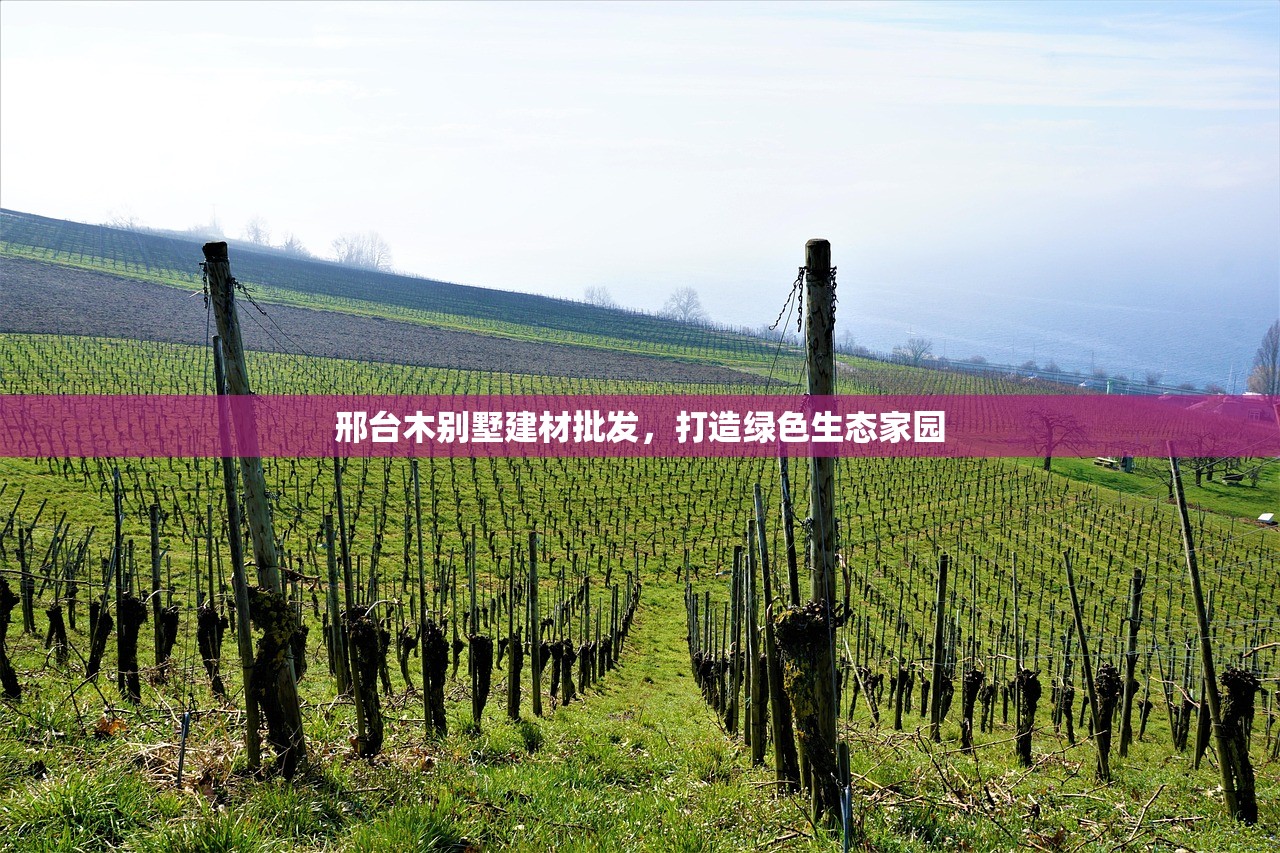 邢台木别墅建材批发，打造绿色生态家园