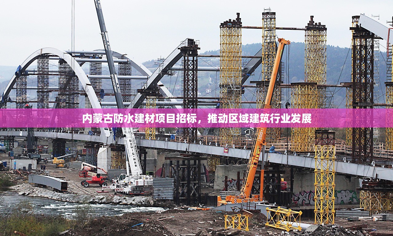 内蒙古防水建材项目招标，推动区域建筑行业发展