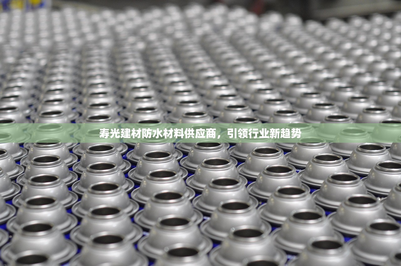 吉林建材市场，水泥毯批发的新机遇