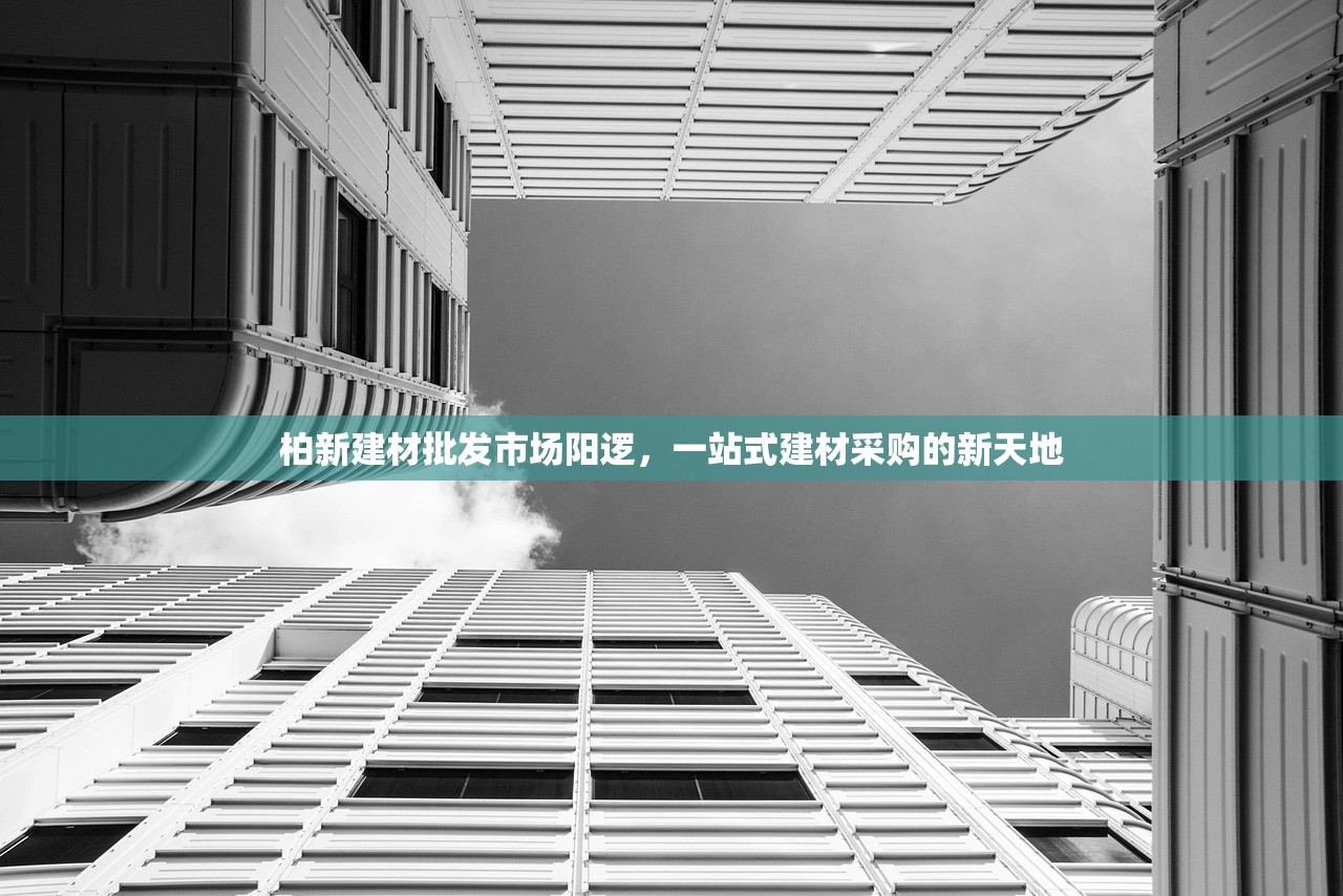 柏新建材批发市场阳逻，一站式建材采购的新天地