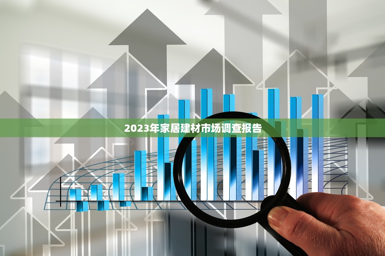 2023年家居建材市场调查报告