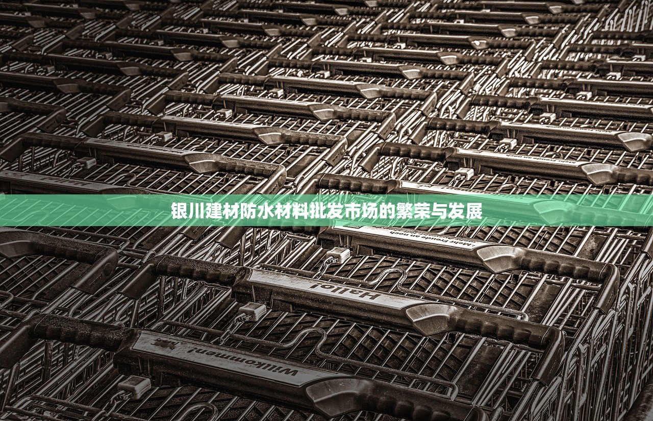 银川建材防水材料批发市场的繁荣与发展