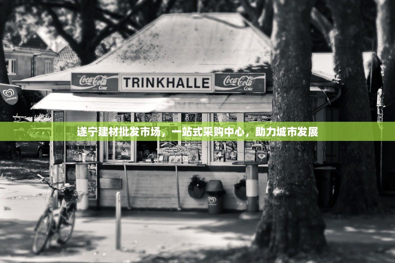 遂宁建材批发市场，一站式采购中心，助力城市发展