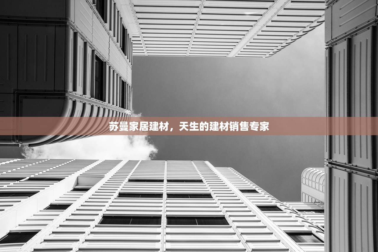 苏曼家居建材，天生的建材销售专家