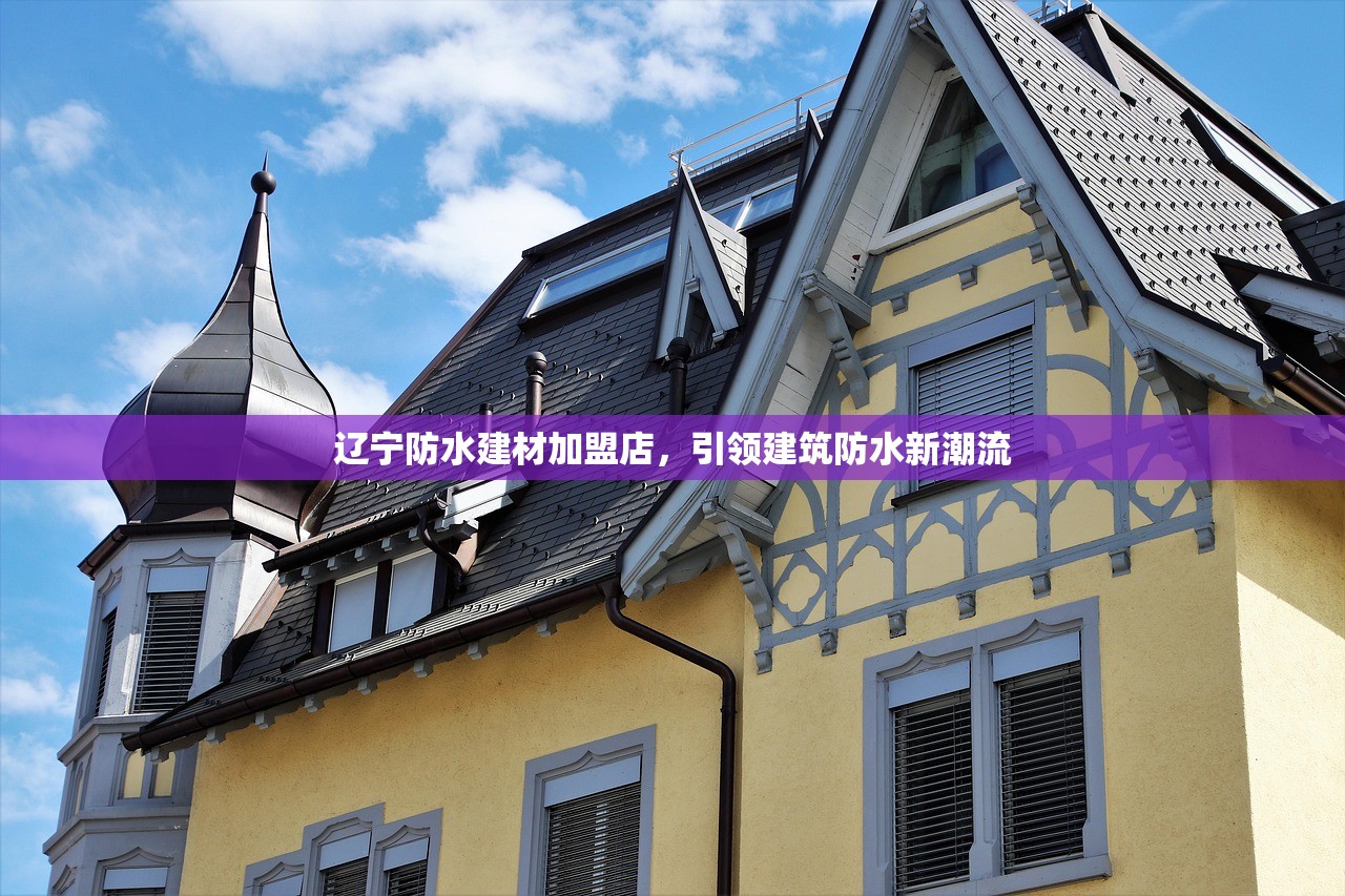 辽宁防水建材加盟店，引领建筑防水新潮流