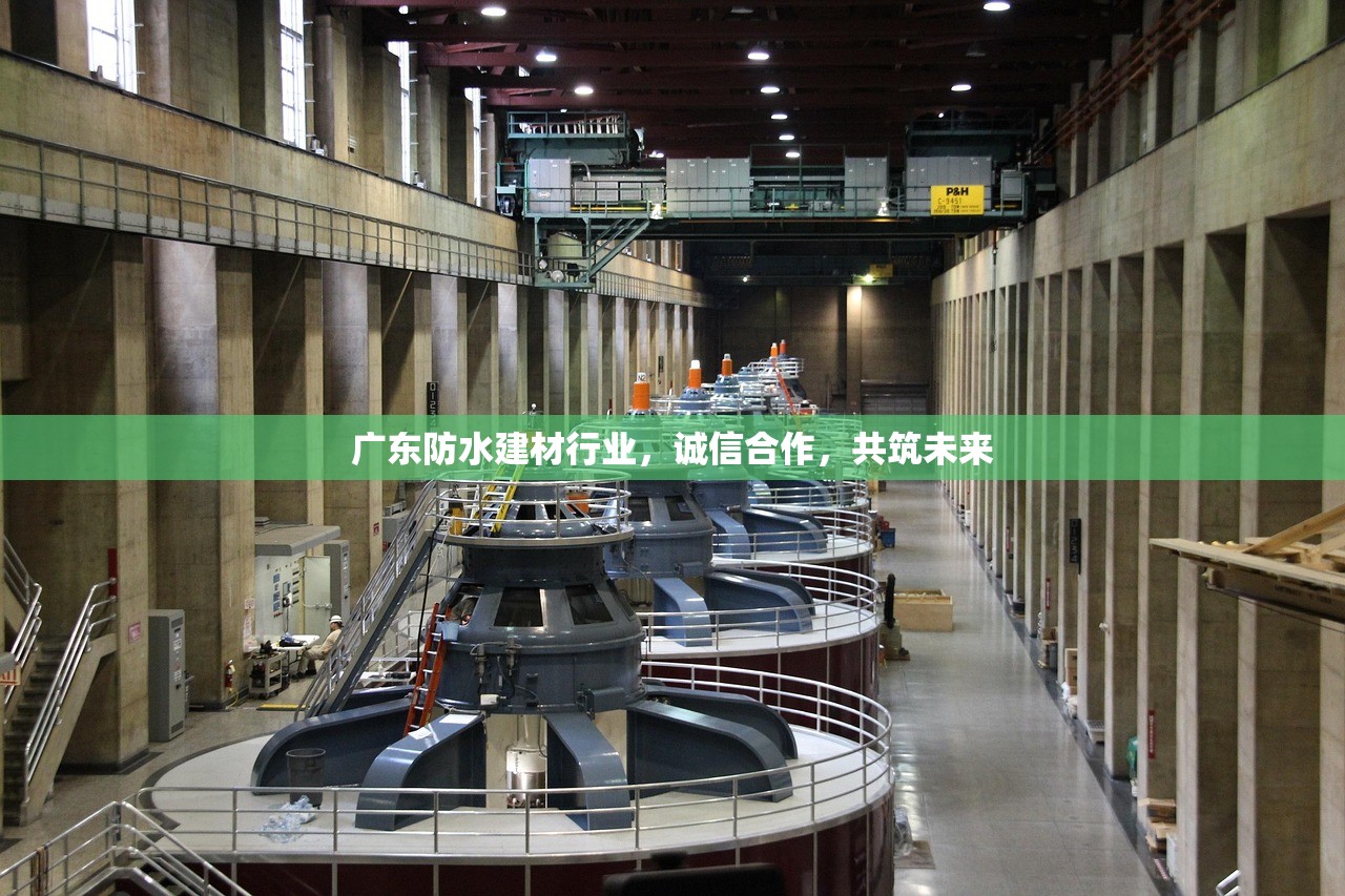 广东防水建材行业，诚信合作，共筑未来