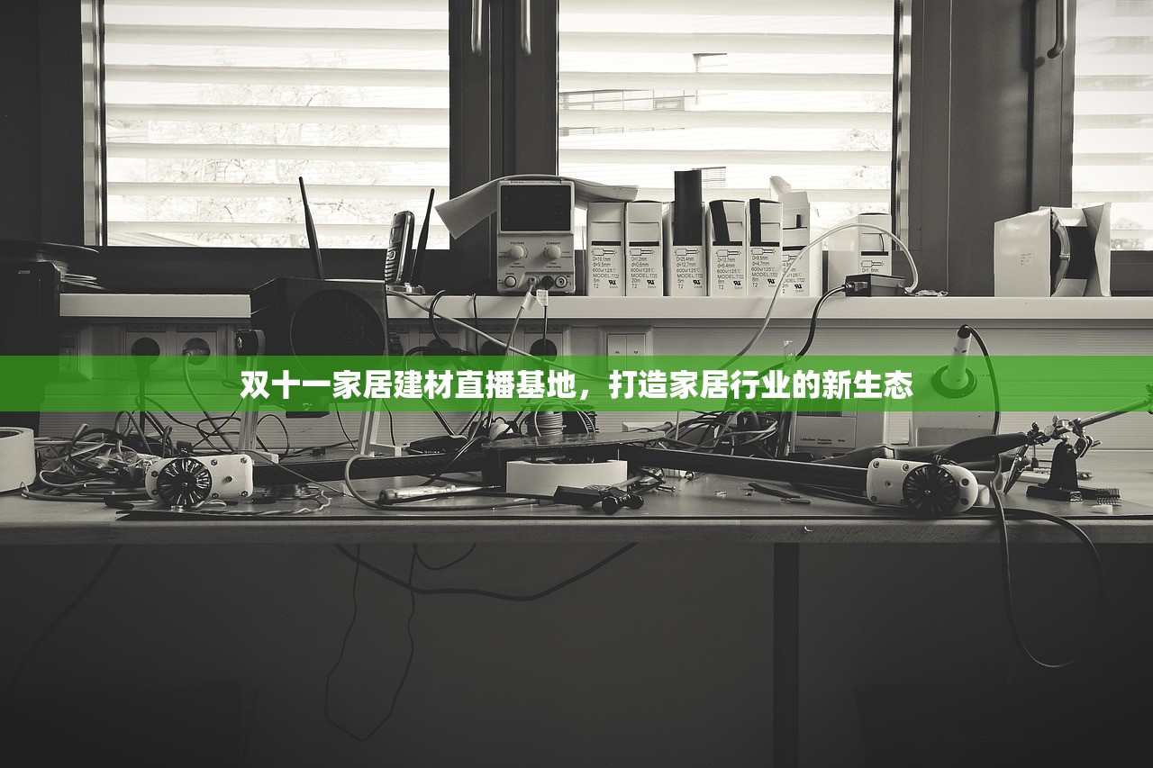 双十一家居建材直播基地，打造家居行业的新生态