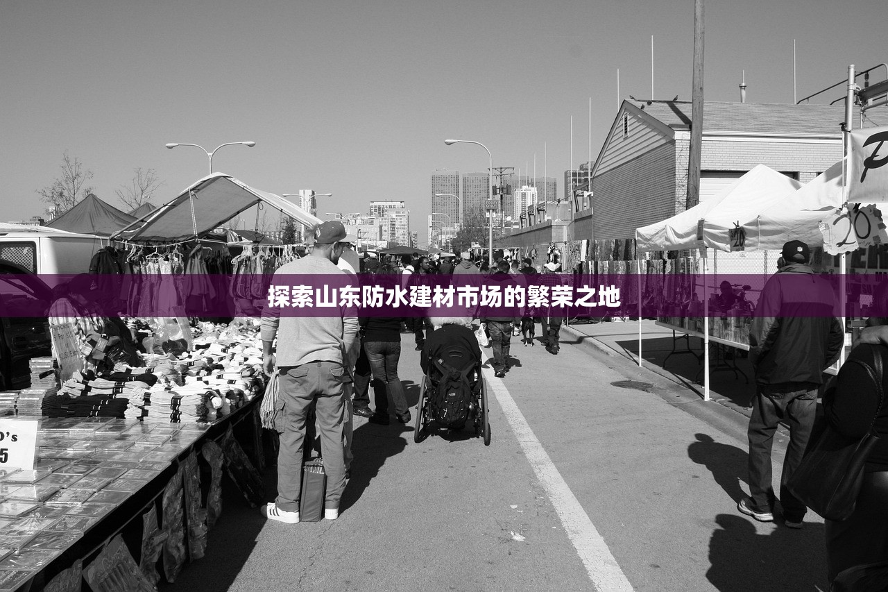 探索山东防水建材市场的繁荣之地