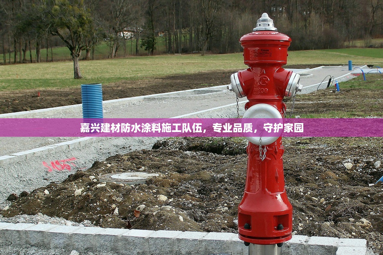 嘉兴建材防水涂料施工队伍，专业品质，守护家园