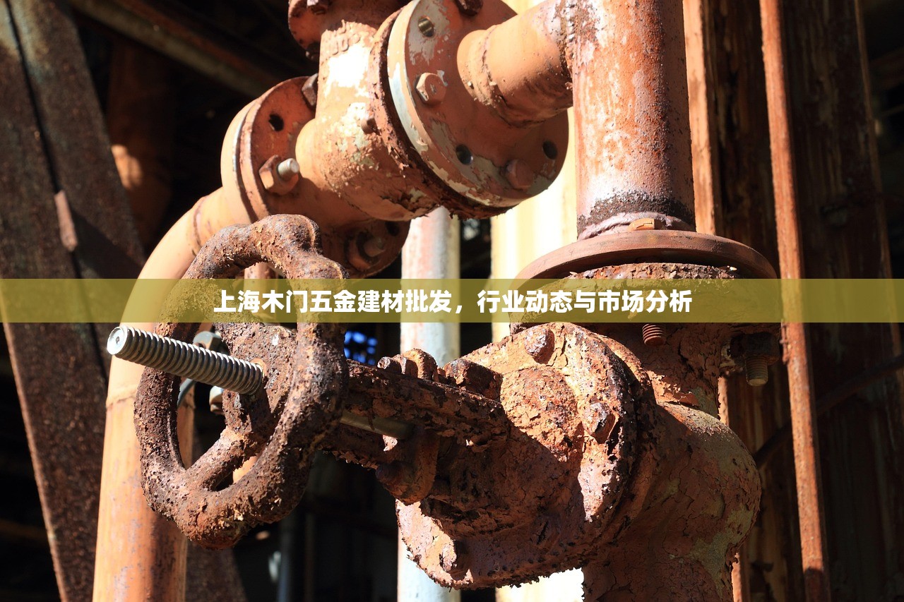上海木门五金建材批发，行业动态与市场分析