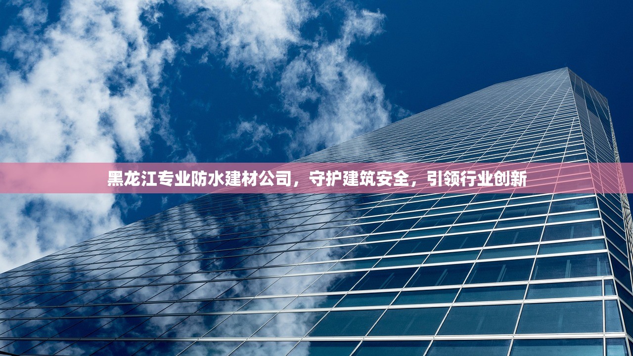 黑龙江专业防水建材公司，守护建筑安全，引领行业创新